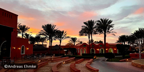 Katzenbiss in Ägypten